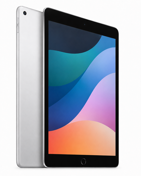 Apple iPad 9th Gen 10.2-inch Wi-Fi 256GB (Used, Excellent Condition)