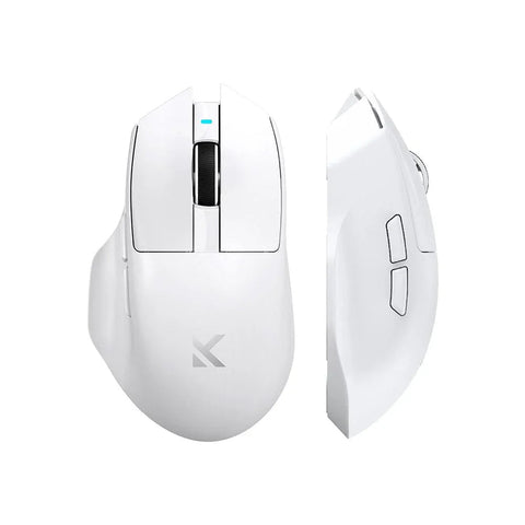 Mice